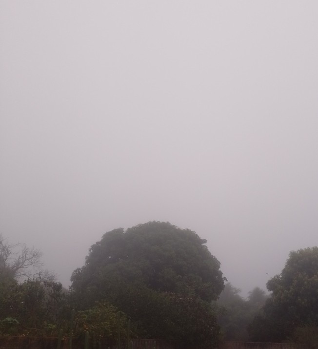 Ouro Branco do Sul amanhece sob neblina e clima ameno