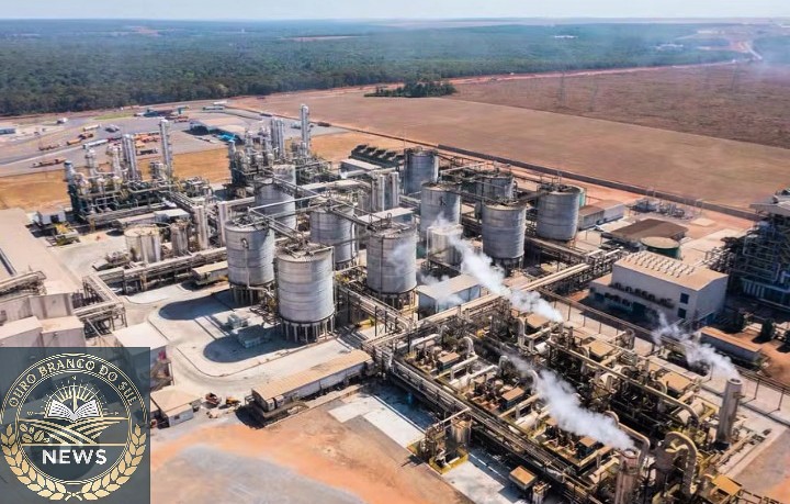 Desenvolvimento a Qualquer Custo? O Lado Sombrio da Chegada da Inpasa e o Risco de um Colapso Ambiental