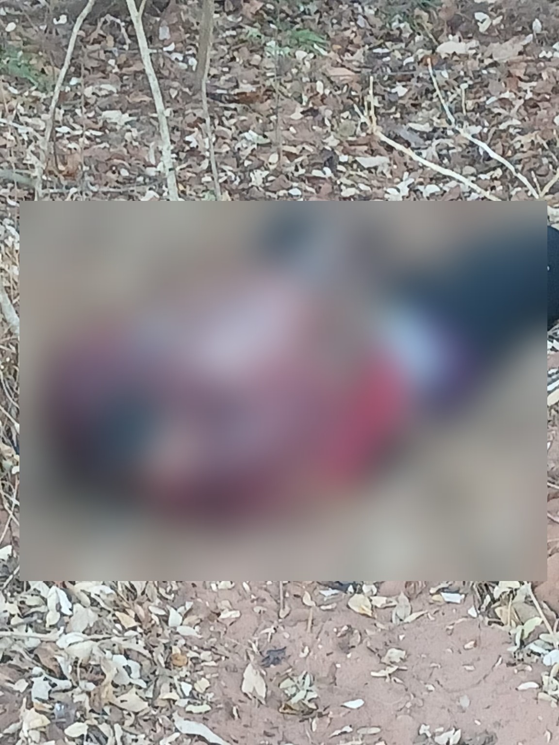 Homem é encontrado decapitado em área rural próxima a Sonora